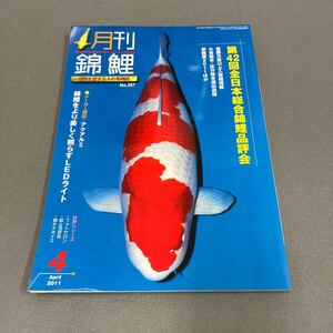  monthly colored carp *2011 year 4 month number *No.287* colored carp * common carp * fish * no. 42 times all Japan synthesis colored carp goods judgement .*ak aluminium 