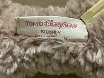 ディズニーシー シェリーメイ ぬいぐるみ Sサイズ Disney Duffy Shellie May TDS 限定 初期頃 グッズ 2010年 テディベア_画像7