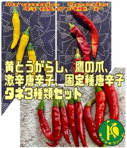 黄とうがらしと鷹の爪と激辛唐辛子3種類のタネ各20粒セット固定種・無農薬無化学肥料栽培の種子 