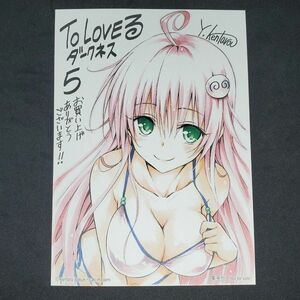 ToLOVEる とらぶる ダークネス 5巻 特典 ポストカード ブロマイド 矢吹健太朗 非売品 プロモ 