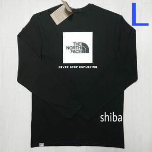 THE NORTH FACE ノースフェイス　長袖　ロンT ロング tシャツ レッドボックス 黒 ブラック 白ロゴ BW 海外L