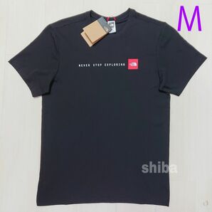 THE NORTH FACE ノースフェイス　tシャツ 半袖 トップス 人気 ボックスロゴ 黒 ブラック NSE 海外Mサイズ