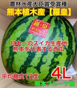 熊本産【羅皇】優品4Lサイズ（1玉9〜10kg）熊本フルーツ堂25