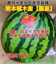 熊本産【羅皇】優品Mサイズ（1玉5〜6kg）熊本フルーツ堂30_画像1