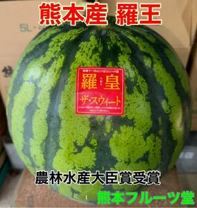 1 шар ограничение! Kumamoto производство [..] super товар 6L размер (1 шар 11.4kg) Kumamoto фрукты .31