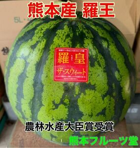 熊本産【羅皇】優品2Lサイズ（1玉7〜8kg）熊本フルーツ堂33