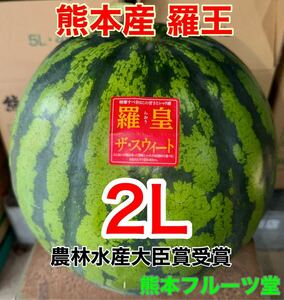 熊本産【羅皇】優品2Lサイズ（1玉7〜9kg）熊本フルーツ堂42