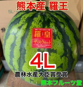 熊本産【羅皇】優品4Lサイズ（1玉9〜10kg）熊本フルーツ堂19