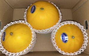  extra-large! Kumamoto production yellow King melon [ preeminence goods 4L sphere 3 sphere approximately 4.2k box included ] Kumamoto fruit .9