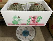 【まる北】熊本産 肥後グリーン【秀品4Lサイズ2玉セット 約4.6k箱込 熊本フルーツ15_画像8