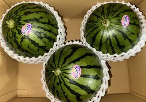  Kumamoto production [ small sphere watermelon .....]3L size ( super goods 3 sphere approximately 9kg box included ) Kumamoto fruit .15