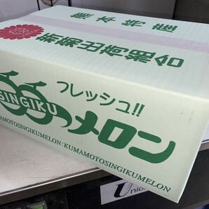 大好評！熊本産 イエローキングメロン【秀品6〜7玉約4.2k箱込】熊本フルーツ堂9の画像5