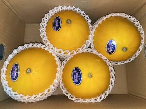  extra-large! Kumamoto production yellow King melon [ preeminence goods 3L sphere 4 sphere approximately 4.8k box included ] Kumamoto fruit .8