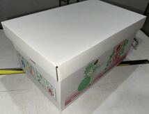 【まる北】熊本産 肥後グリーン【秀品5Lサイズ2玉セット 約5k箱込 熊本フルーツ堂4_画像10