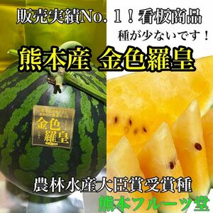 待ちに待った！熊本産【金色羅皇】秀品Mサイズ（1玉5〜6kg）熊本フルーツ堂2