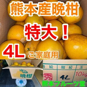 ご家庭用！熊本産 晩柑 3〜4L約10k箱満杯 熊本フルーツ堂44