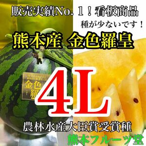 お勧め！熊本産【金色羅皇】秀品4Lサイズ（1玉9〜10kg）熊本フルーツ堂8