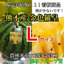 熊本産【金色羅皇】秀品Lサイズ（1玉6〜7kg）熊本フルーツ堂18_画像1