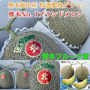 【まる北】熊本産 肥後グリーン【秀品5Lサイズ2玉セット 約5k箱込 熊本フルーツ堂2