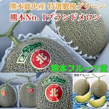 【まる北】熊本産 肥後グリーン【秀品5Lサイズ2玉セット 約5k箱込 熊本フルーツ堂4_画像1