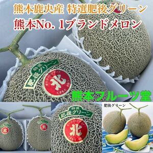 【まる北】熊本産 肥後グリーン【秀品4Lサイズ2玉セット 約4.6k箱込 熊本フルーツ12