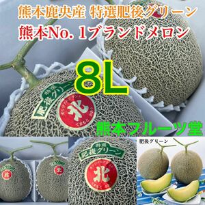 [.. north ] Kumamoto production . after green [ preeminence goods 8L size 2 sphere set approximately 6.3k box included Kumamoto fruit 31