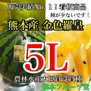 アンテナ付き！熊本産【金色羅皇】秀品5Lサイズ（1玉10〜11kg）熊本フルーツ堂24