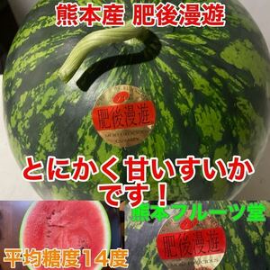 『激押しスイカ』熊本産優品【肥後漫遊】7Lサイズ（1玉12〜13kg）熊本フルーツ堂36