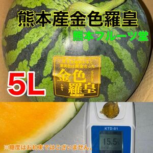 特大！熊本産【金色羅皇】秀品5Lサイズ（1玉10〜11kg）熊本フルーツ堂61