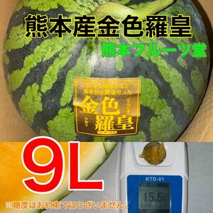 特大！熊本産【金色羅皇】優品9Lサイズ（1玉14〜15kg）熊本フルーツ堂61