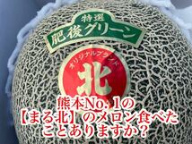 【まる北】熊本産 肥後グリーン【秀品5Lサイズ2玉セット 約5k箱込 熊本フルーツ堂2_画像2