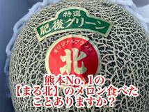 【まる北】熊本産 肥後グリーン【秀品5Lサイズ2玉セット 約5k箱込 熊本フルーツ堂4_画像2