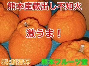 [ ultra ..] popular size! Kumamoto production un- . fire (14~16 sphere ) super goods 5k box full cup Kumamoto fruit .42