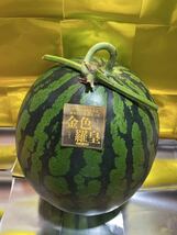 お勧め！熊本産【金色羅皇】優品3Lサイズ（1玉8〜9kg）熊本フルーツ堂8_画像9