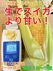 感動の生かじり！熊本産 とうもろこし【ドルチェドリーム】10本前後セット（約4〜5kg箱込）【秀品】