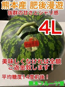 [ ultra pushed . watermelon ] Kumamoto production preeminence goods [. after ..]4L size (1 sphere 9~10kg) Kumamoto fruit .24