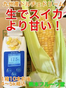 感動の生かじり！熊本産 とうもろこし【ドルチェドリーム】10本前後セット（約4〜5kg箱込）2