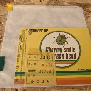 CHARMY SMILE & GREEN HEAD / Growin' Up - 太陽がくれた季節 邦楽 8cm CD シングル 見本盤 非売品 プロモ