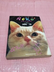 Neko2 岡崎二郎　1998年初版