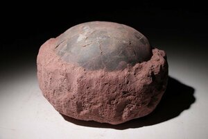 ☆昇藤☆約6500万年前　中国　ハドロサウルスのたまご　（検）化石 恐竜 中国美術 古玩