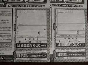 【2枚セット】ヤングチャンピオン11号/蛭田愛梨 応募者全員サービスクオカード応募用紙2枚