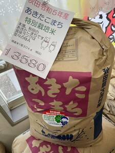 25kg令和5年秋田県大潟村産あきたこまち 検査米１等 精米（白米）２５キロ(10.05ｋｇ×２,5.05ｋｇ)送料無料(北海道沖縄除く)☆特別栽培米