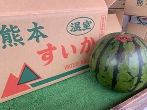  watermelon 2 sphere (1 sphere side . approximately 3. and more * Kumamoto prefecture production * home use ) * normal flight / cool flight 