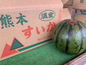  watermelon 1 sphere (1 sphere approximately 3. and more * Kumamoto prefecture production * home use ) * normal flight / cool flight 