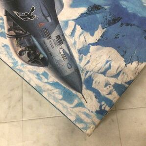 1円〜 ハセガワ 1/32 F-16 ファイティング ファルコン ラムシュタインの画像7
