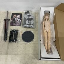 1円〜 アゾン オリジナルドール リリア／スターダストナイトメア 彷徨える魂 ブラックレイヴンV 受注販売Ver._画像2