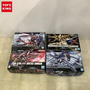 1円〜 HG 1/144 ライジングフリーダムガンダム インフィニットジャスティスガンダム 他