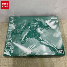 1円〜 MG 1/100 新機動戦記ガンダムW Endless Waltz アルトロンガンダムEW_画像1