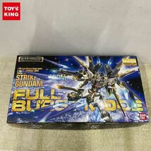 1円〜 MG 1/100 機動戦士ガンダムSEED DESTINY ストライクフリーダムガンダム フルバーストモード スペシャルバージョン_画像1