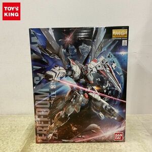 1円〜 MG 1/100 機動戦士ガンダムSEED フリーダムガンダム Ver.2.0 /B